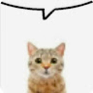 Meet your Posher, Sienna